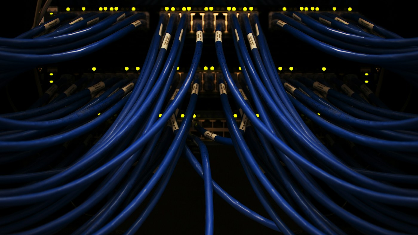 Separate blue network cables connected to a switch